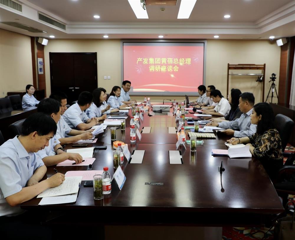 集團黨委副書記、總經理黃蓓帶隊調研濟南市工程咨詢院